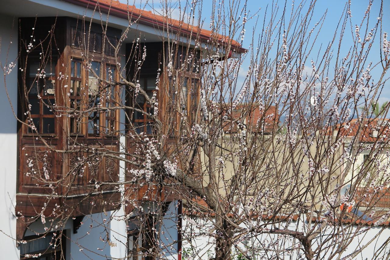 Livia Garden Hotel Selçuk Exterior foto