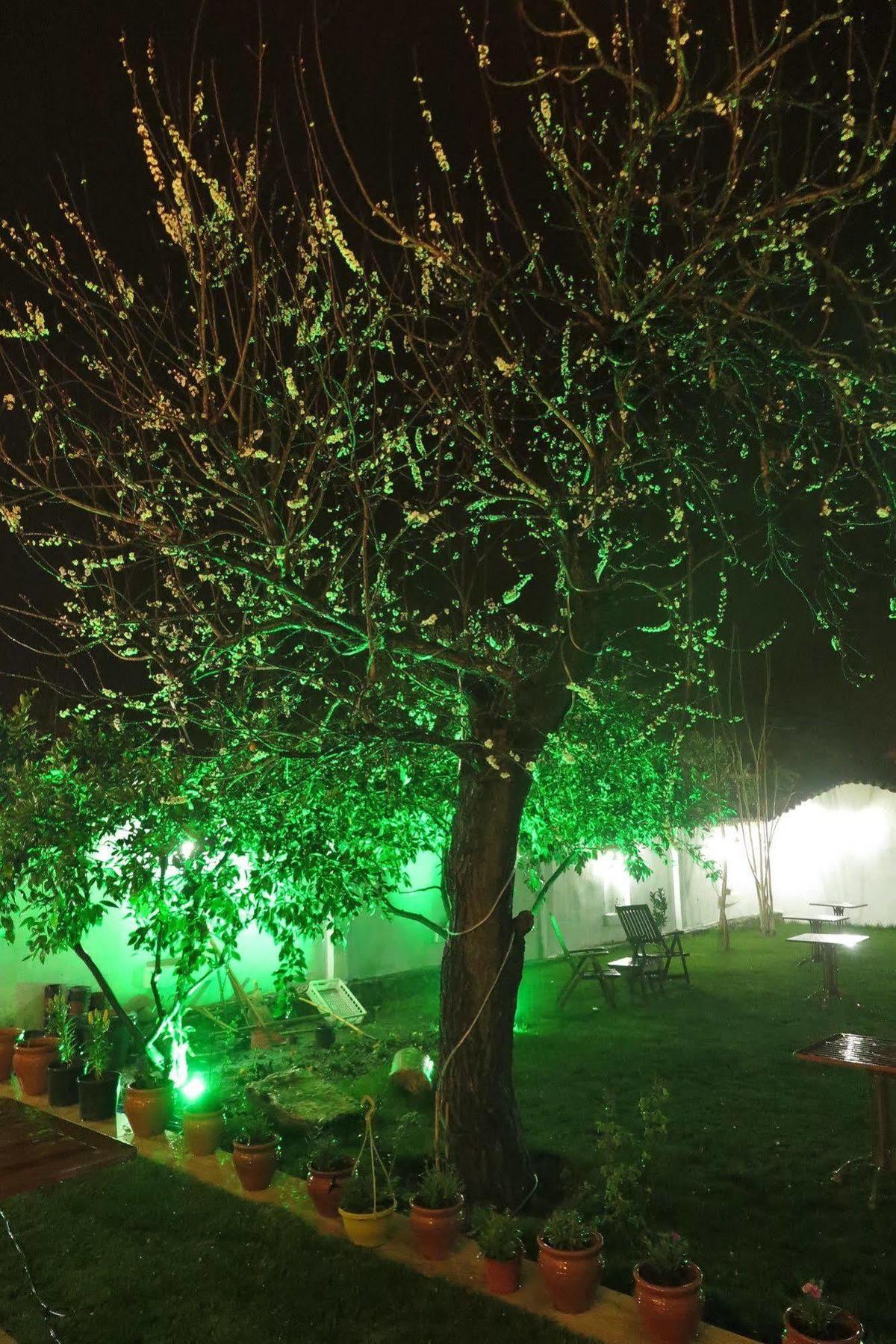 Livia Garden Hotel Selçuk Exterior foto
