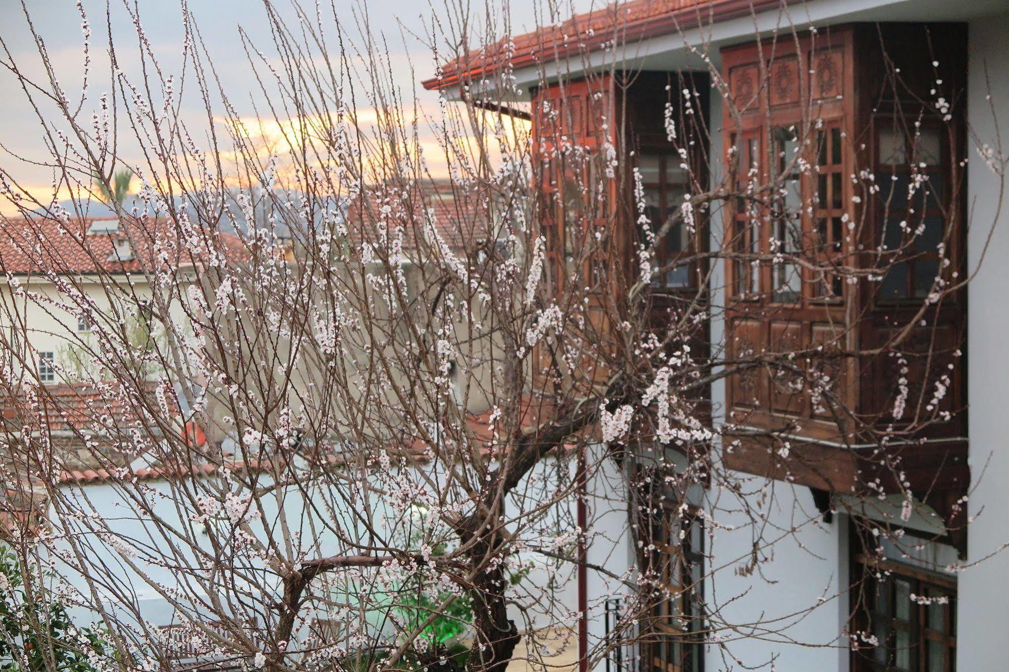 Livia Garden Hotel Selçuk Exterior foto