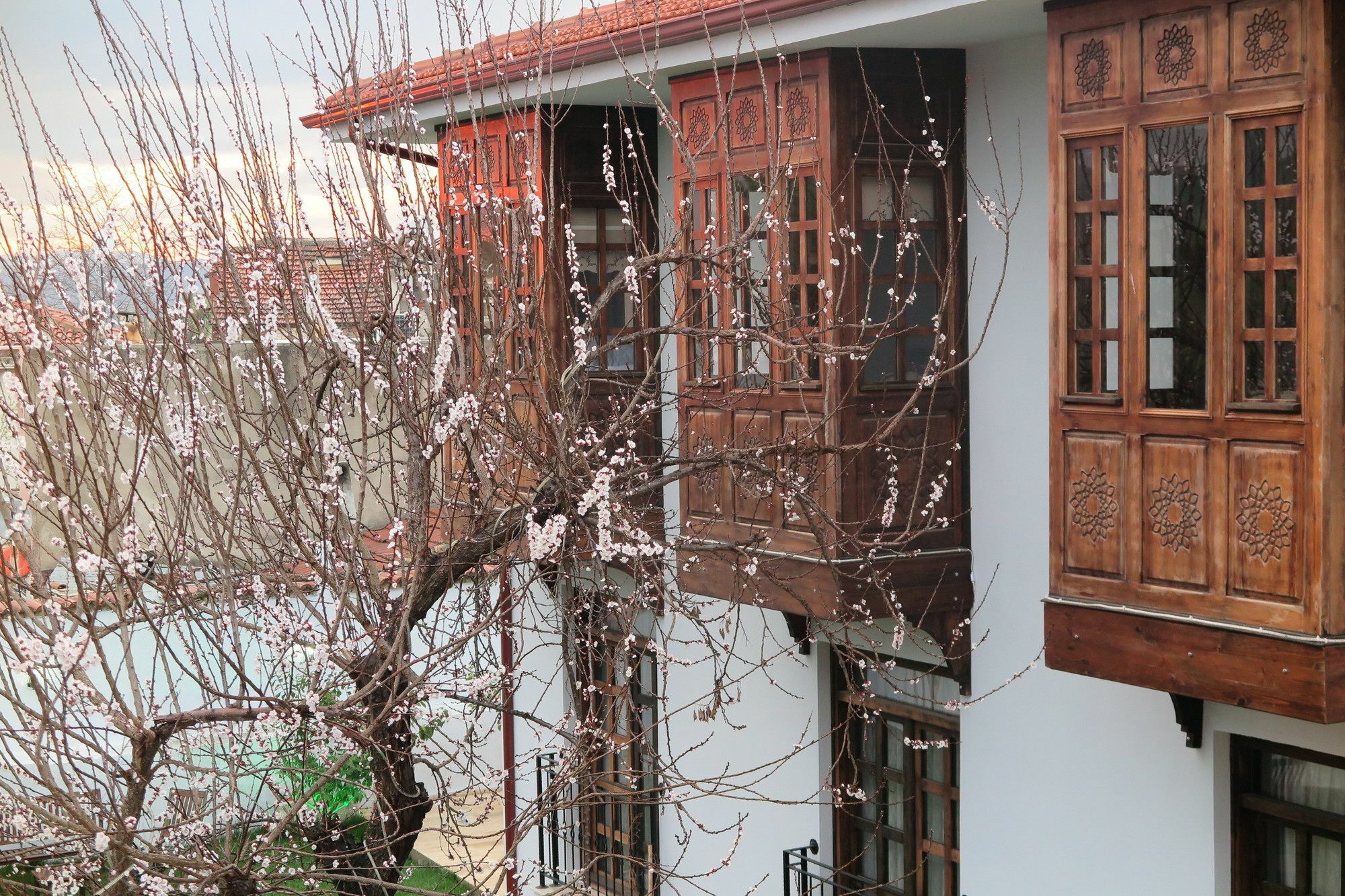 Livia Garden Hotel Selçuk Exterior foto